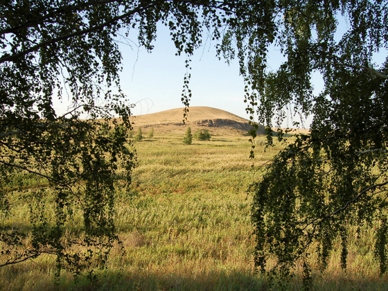 Berg Shamanka Baum [arkaim]