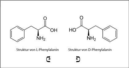 Phenylalanin Aminosäure