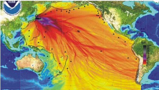 Fukushima Wasser Verseuchung