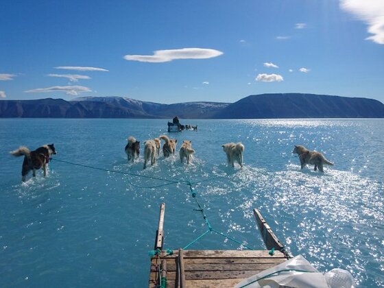 Eisschmelze in Grönland