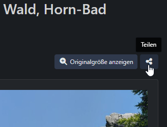 Adresse des Bildes holen (1)
