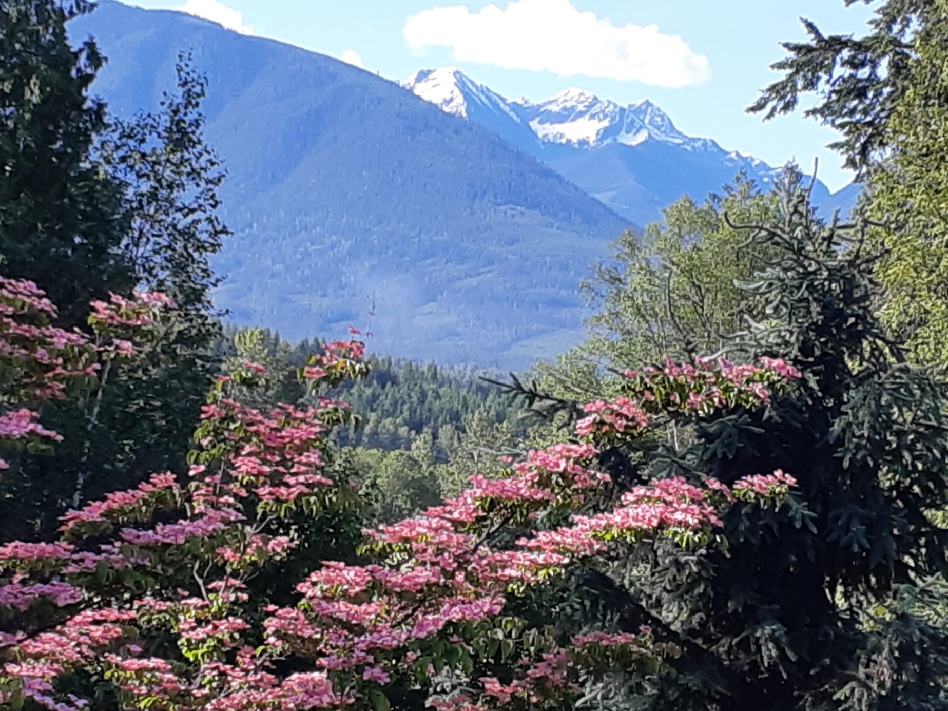 Der Walhall in Kanada