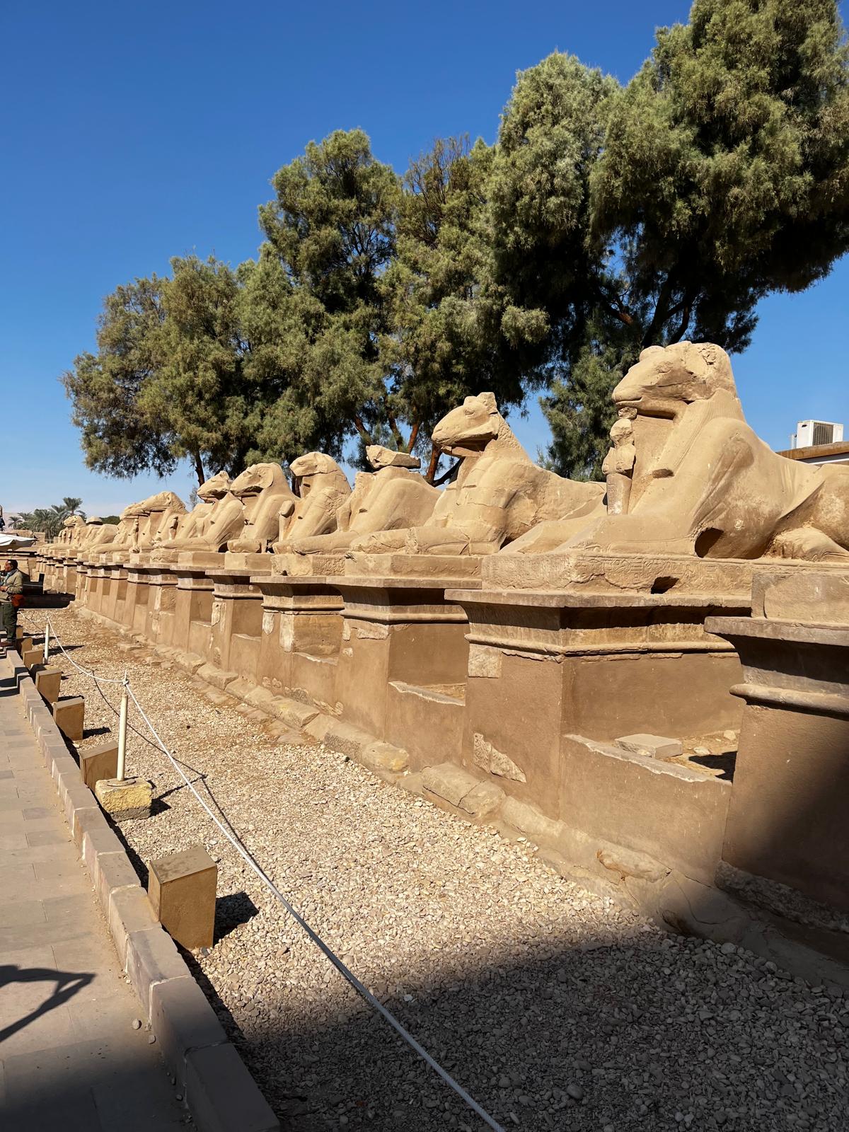 Widderköpfige Sphinxen in Karnak - Ägypten | Wladimir