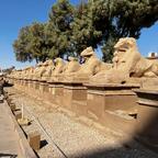 Widderköpfige Sphinxen in Karnak - Ägypten | Wladimir