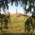 Berg Shamanka Baum [arkaim]